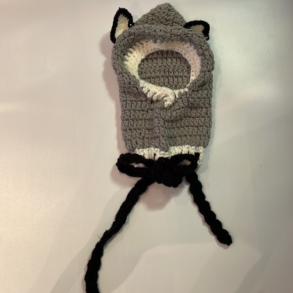 Super Cute Racoon Youth Winter Hat - Picture 1 of 3